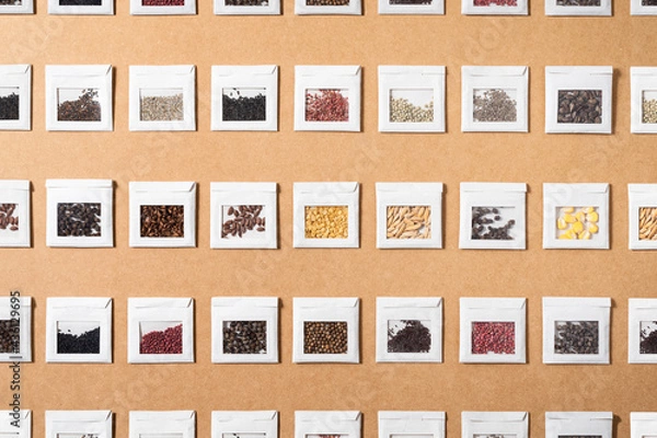 Fototapeta Isolated colorful seeds of different vegetables and spices in small handcrafted envelopes or packets made of recycled paper, arranged in symmetry