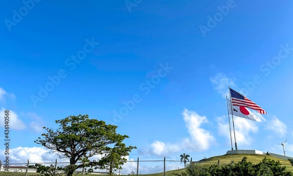 Obraz 星条旗と日本の国旗が掲げられた晴天の日の画像