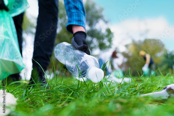 Fototapeta Hand of man picking up bottle into garbage bags while cleaning area in park. Volunteering, charity, people, ecology concept. Closeup volunteer collecting plastic trash in forest. World clean up m day