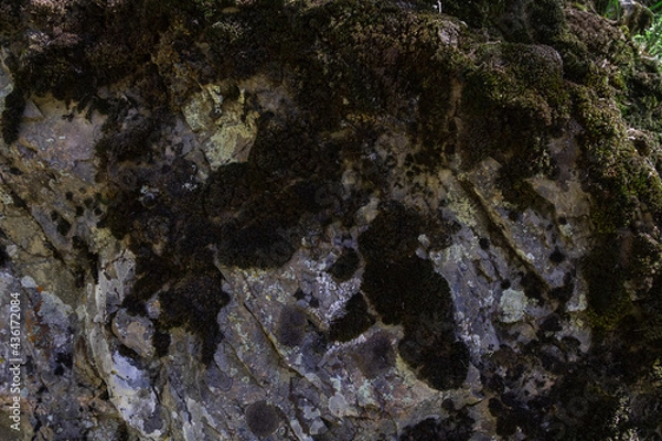 Fototapeta stone texture. Closeup of rough texture of large moss covered rock. Stone surface for natural background. Close-up of blurred stone background texture