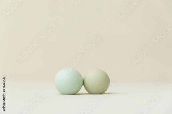 Fototapeta 二つの卵