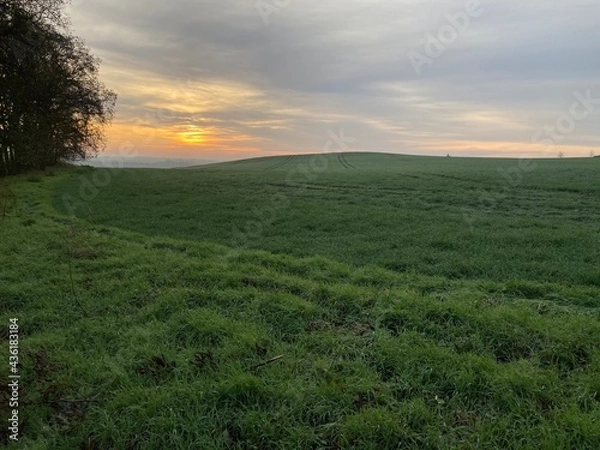 Fototapeta Dawn on Field 2