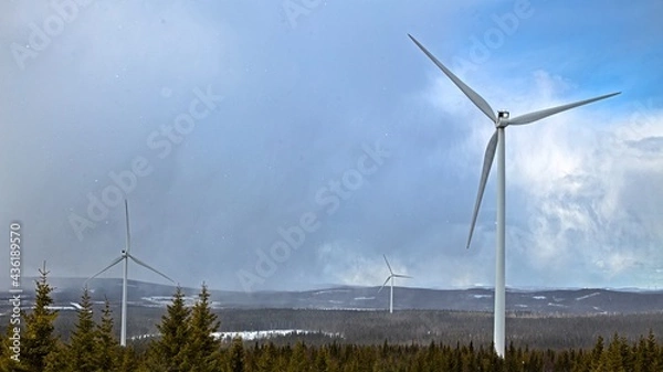 Fototapeta Rain clouds in Amliden wind park in Sweden
