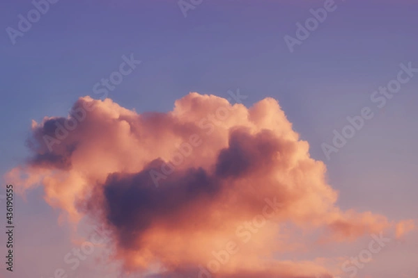 Obraz Small fluffy cloud background on soft sunset sky
