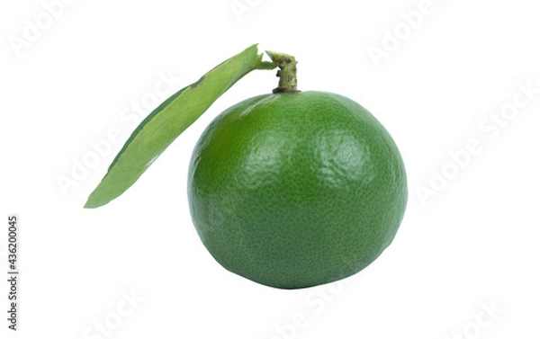 Obraz lime with leaf isolated on white background. clipping path