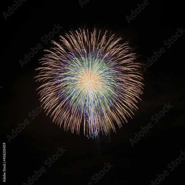 Fototapeta 虹色の打ち上げ花火