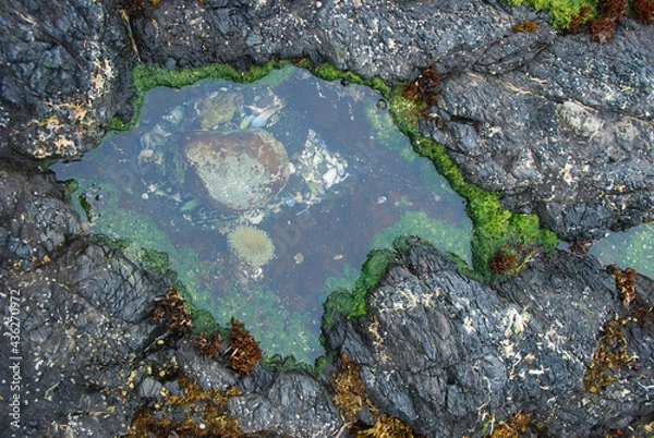 Obraz Awesome Tidepool
