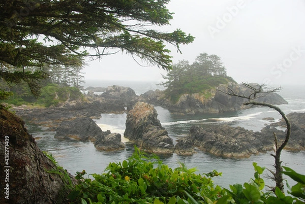 Obraz Dramatic Foggy Seacoast 