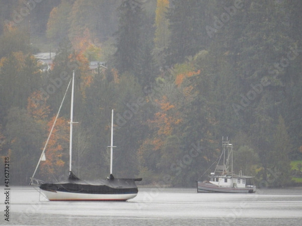 Obraz Safe in the Harbor