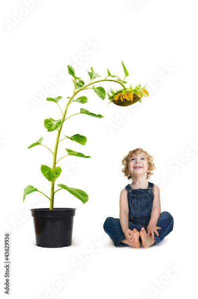 Obraz Kind mit Sonnenblume