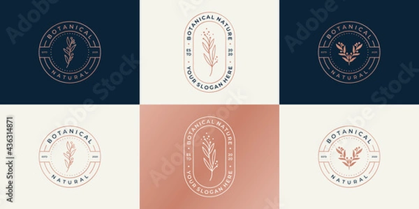 Obraz Set of luxury logo design template for branding, corporate identity