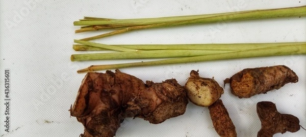 Fototapeta a collection of traditional Indonesian spices to make curry