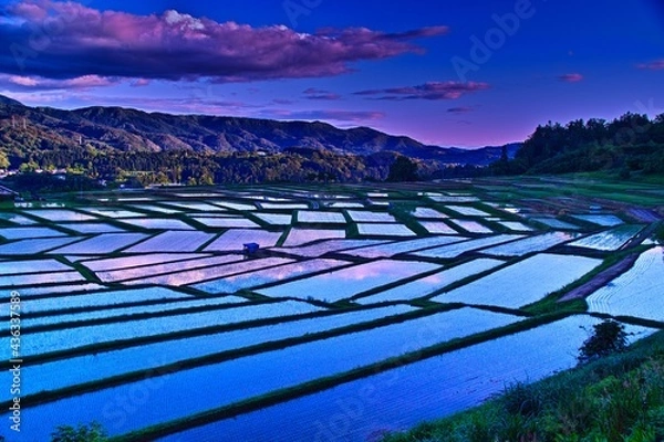 Obraz 棚田の風景（山形県朝日町）
