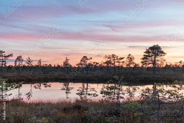 Obraz The Great Kemeri bog in the Kemeri National Park near Jurmala, Latvia during beautiful and colorful sunset