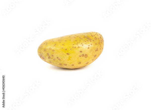 Obraz raw potato, isolated on white background. Clipping path.
