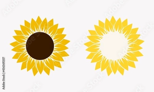 Obraz Sunflower Vector And Clip Art