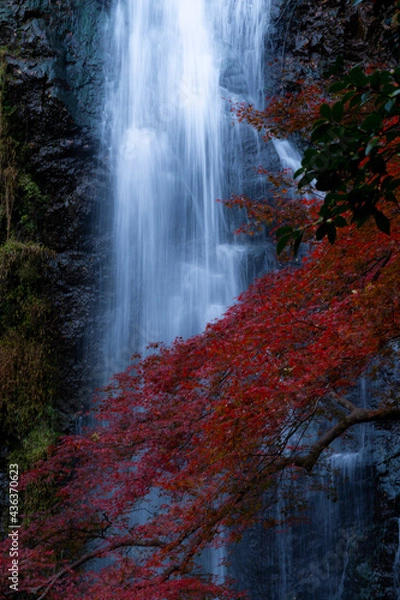 Obraz 儚くも冷たき