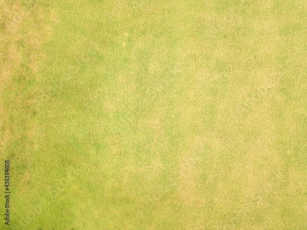 Fototapeta Overhead grass shot. Artificial texture. Grass texture. Drone grass shot.