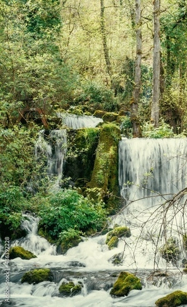 Obraz waterfall in the forest