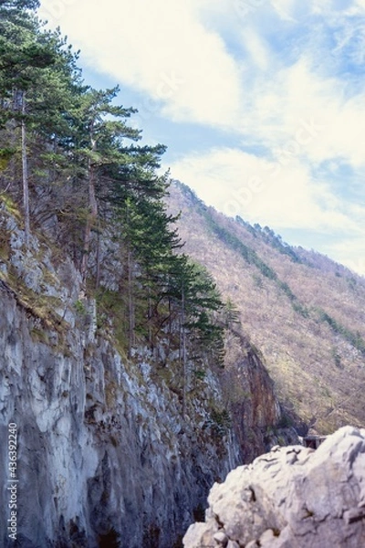 Obraz landscape in the mountains