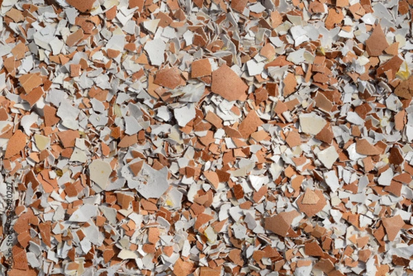 Obraz Crushed eggshell for use in making fertilizers