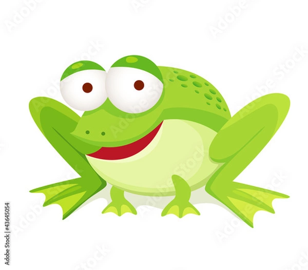 Fototapeta green frog isolated on white