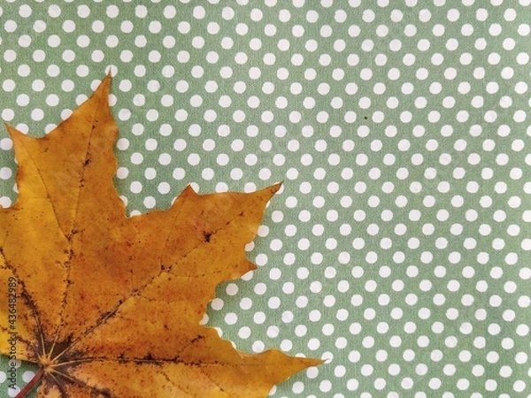 Obraz autumn maple leaves background wallpaper