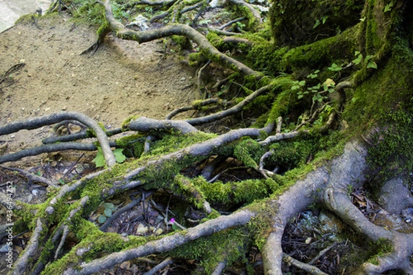 Obraz Laghetto San Benedetto