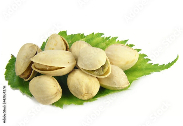 Obraz орехи на зеленом