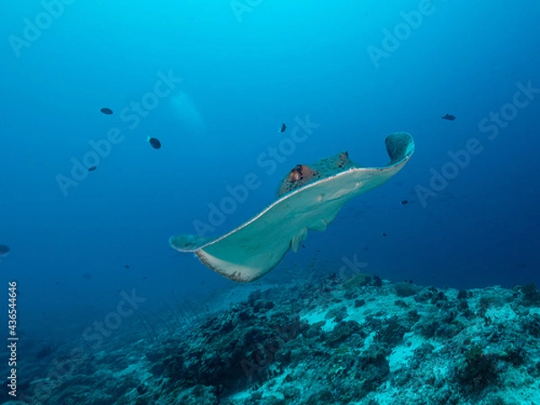 Obraz Rochen Annäherung