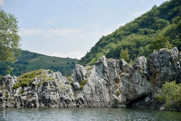 Obraz landscape in the mountains with bird