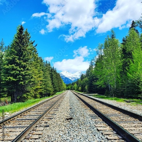 Obraz railway in the mountains