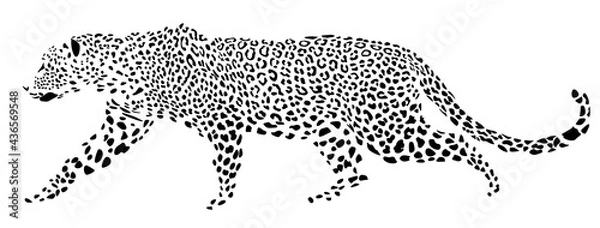Obraz The leopard is coming. The image is in the form of black spots. Vector graphics