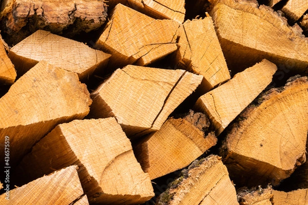 Obraz Firewood