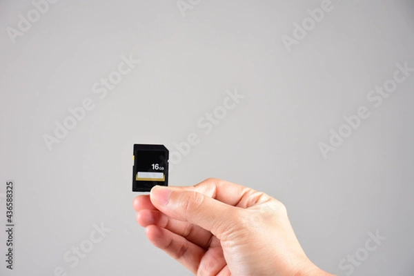 Fototapeta Hand holding SD card isolate on white background