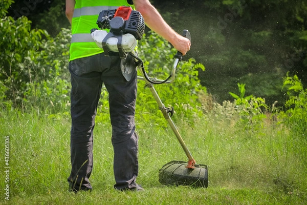Obraz Worker mowing grass with grass trimmer