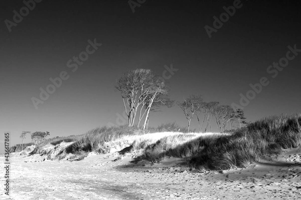 Fototapeta Ostseestrand