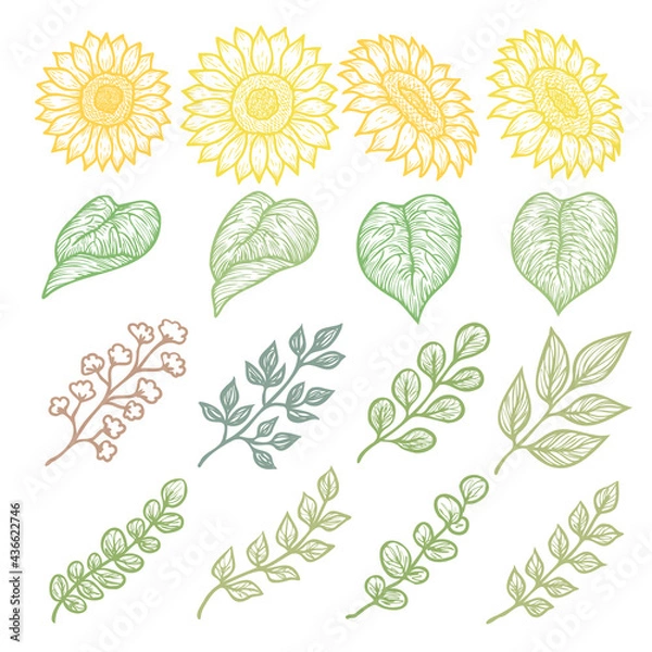 Fototapeta 手描き風ひまわりとボタニカルパーツのイラストセット　線画