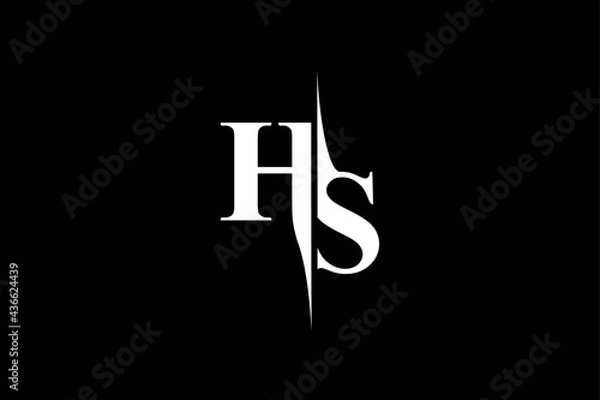 Obraz HS Logo Monogram
