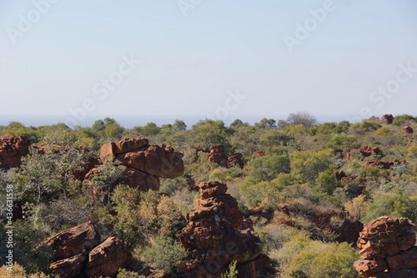 Obraz Waterberg plateau park. Reserve for endangered species. Landscape.