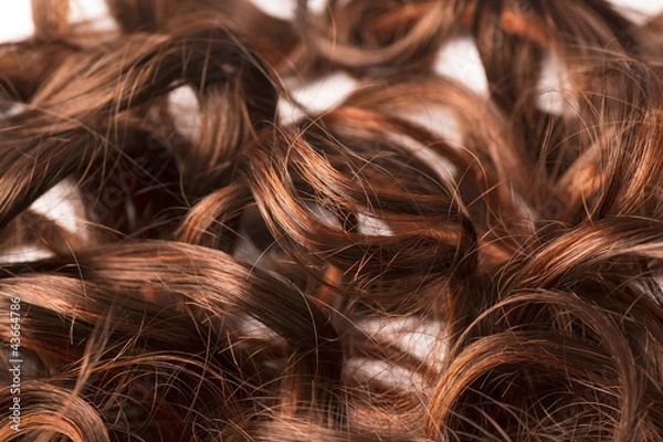 Obraz braune Locken