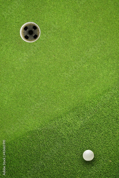 Obraz golf ball hole on a field