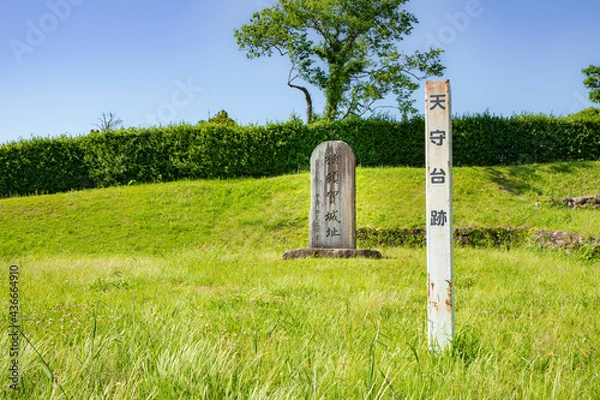 Obraz 静岡県掛川市西大渕の横須賀城
