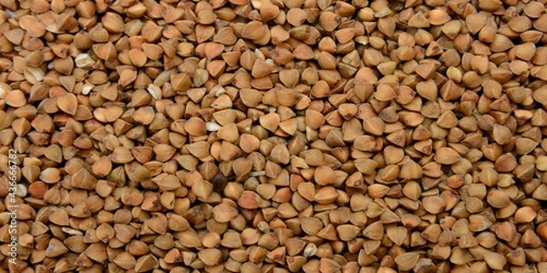 Obraz buckwheat kernel grits