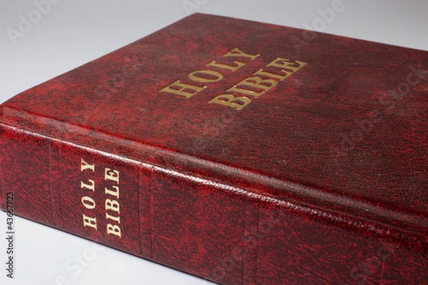 Obraz Holy Bible