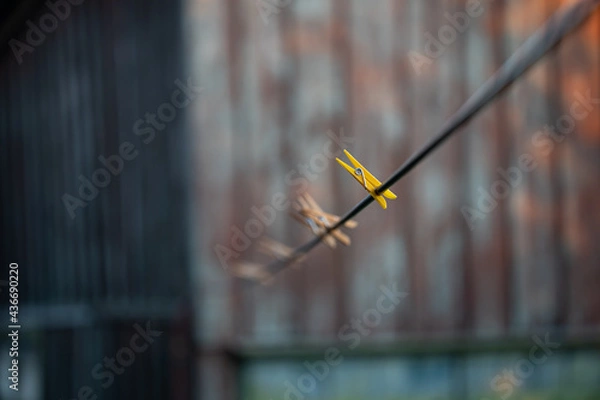 Obraz Yellow CLOTH HOLDER ON THE STRIP