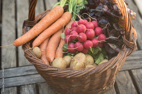 Obraz panier de légumes