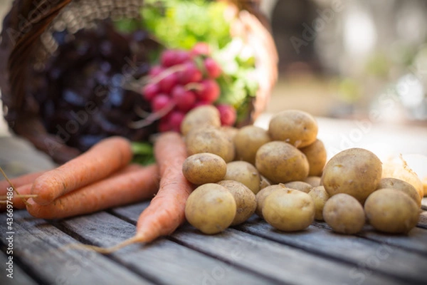 Obraz panier de légumes