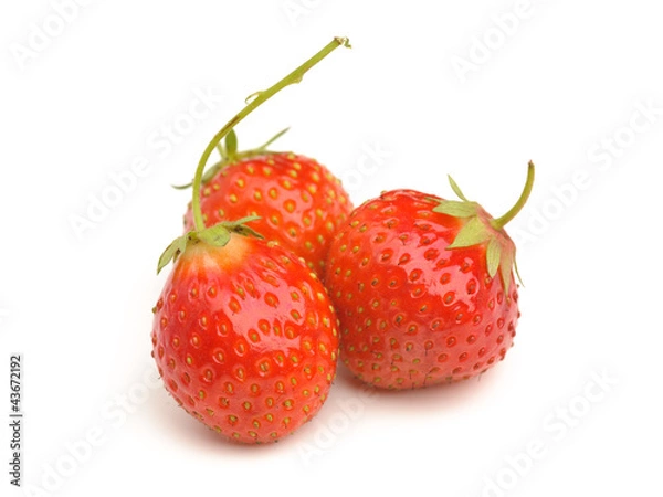 Fototapeta strawberry