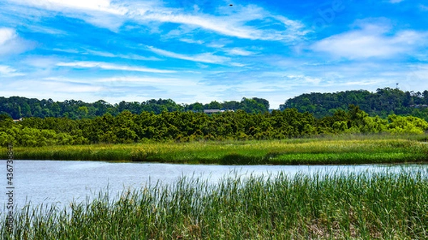 Obraz Interstate in Mobile and Alabama swamp landscape in summer